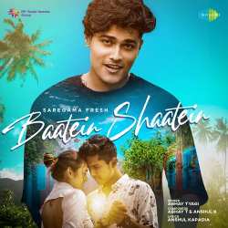 Baatein Shaatein Official Audio