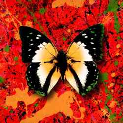 2step (feat. Armaan Malik) Official Audio