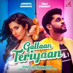 Gallaan Teriyaan Official Audio