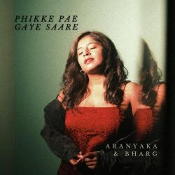 Phikke Pae Gaye Saare Official Audio