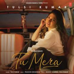 Tu Mera Official Audio