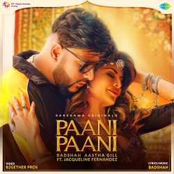 Paani Paani Official Audio