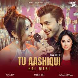 Tu Aashiqui Hai Meri Official Audio