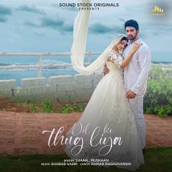 Dil Ko Thug Liya Official Audio