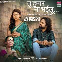 Tu Hamar Na Bhailu Official Audio