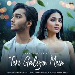 Teri Galiyon Mein - Danish Sabri Official Audio