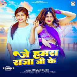 Je Hamra Raja Ji Ke Official Audio