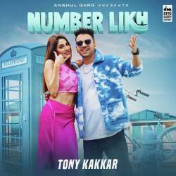 Number Likh Official Audio