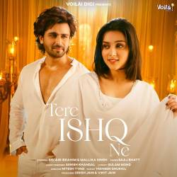 Tere Ishq Ne Official Audio