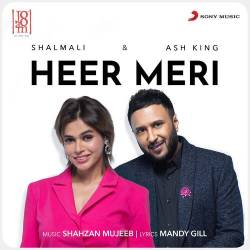 Heer Meri Official Audio