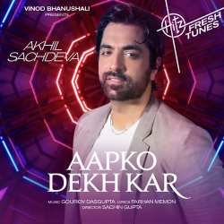 Aapko Dekh Kar Official Audio