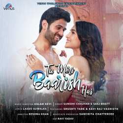 Tu Meri Baarish Hai Official Audio