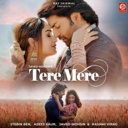 Tere Mere Official Audio