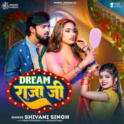 Dream Raja Ji Official Audio