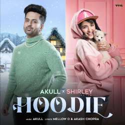 Hoodie Official Audio
