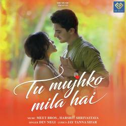 Tu Mujhko Mila Hai Official Audio