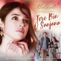 Tere Bin O Saajana Official Audio