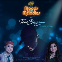 Tere Bagairr Official Audio