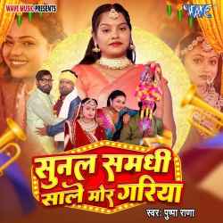 Sunla Samdhi Sale Mor Gariya Official Audio