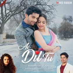 Ae Dil Tu Official Audio