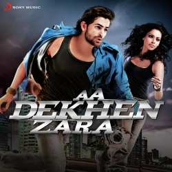 Aa Dekhen Zara (Lounge) Official Audio