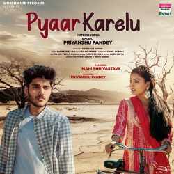 Pyaar Karelu Official Audio