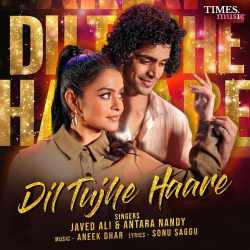 Dil Tujhe Haare Official Audio