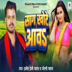 Sag Khote Awa Official Audio