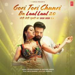 Gori Tori Chunri Ba Laal Laal 2.0 Official Audio