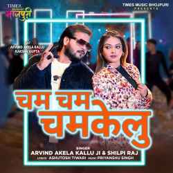 Cham Cham Chamkelu Official Audio