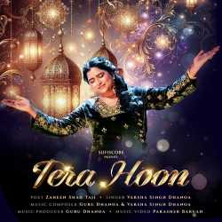 TERA HOON Official Audio