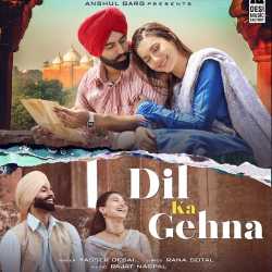Dil Ka Gehna Official Audio