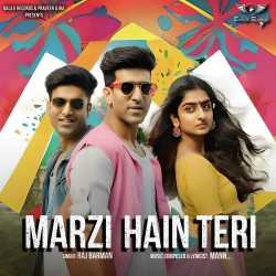 Marzi Hain Teri Official Audio