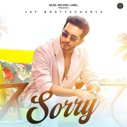 Sorry - Jay Bhattacharya Official Audio
