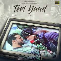 Teri Yaad Official Audio