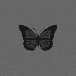 KALI RAAT Official Audio