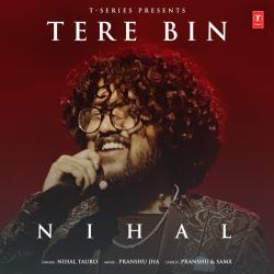 Tere Bin Official Audio