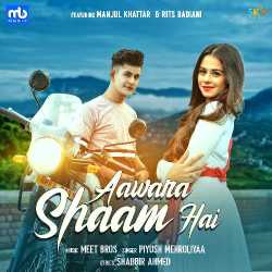 Aawara Shaam Hai (feat. Manjul Khattar And Rits Badiani) Official Audio