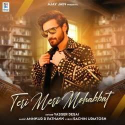 Teri Meri Mohabbat Official Audio