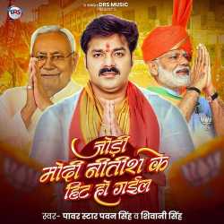 Jodi Modi Nitish Ki Hit Hogayia Official Audio