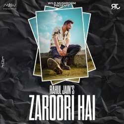 Zaroori Hai Official Audio
