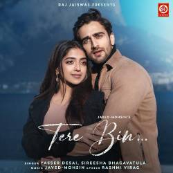 Tere Bin… Official Audio