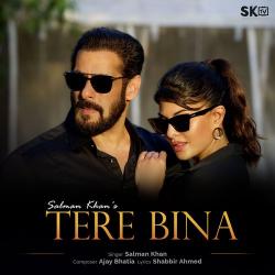 Tere Bina Official Audio