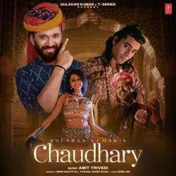 Chaudhary Official Audio