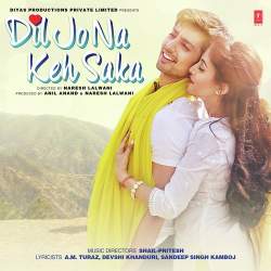 Tanha Tanha Ghum Ke Dhunde Dil Official Audio