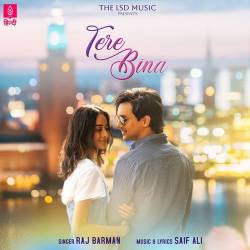 Tere Bina Official Audio