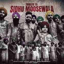 Tribute To Sidhu Moosewala Official Audio