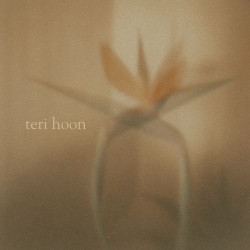 Teri Hoon Official Audio