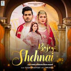 Bajegi Shehnai Official Audio