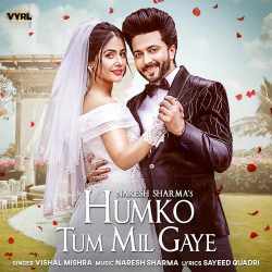 Humko Tum Mil Gaye Official Audio